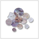 天然贝壳钮