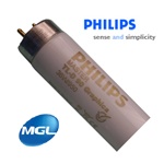 Daylight (5000K) Graphica(48