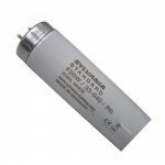 L025-(VV60-CWF-2024) 