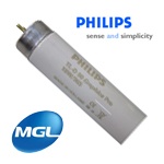 D65 Graphica For H&M