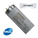 L068-(SYL-D65G-2024)